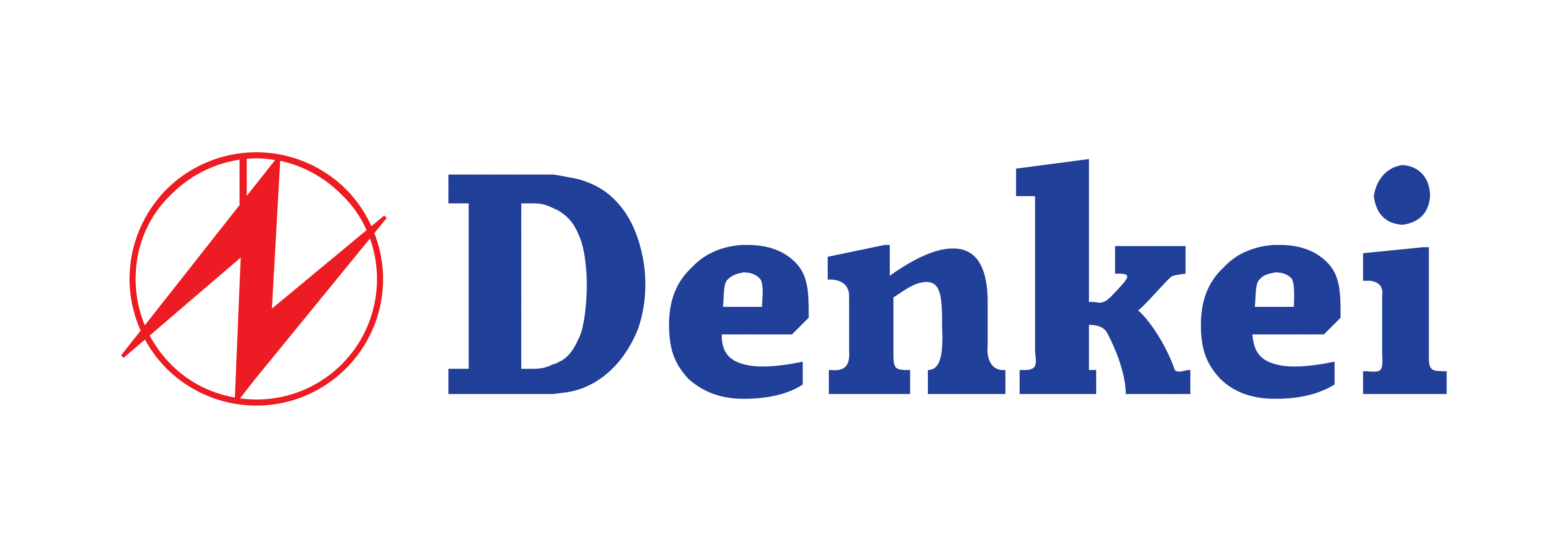 DENKEI TECHNOLOGY R&D (SHANGHAI)CO.,LTD